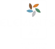 Elements 47 by Anavya Infracon